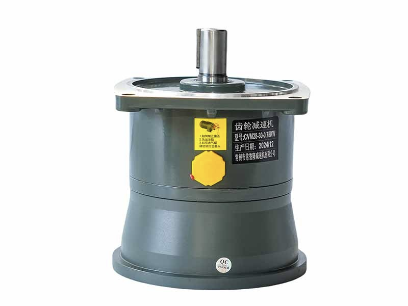 CV.Rtical Type With Aluminom Plate 3 Phase Gear Motor